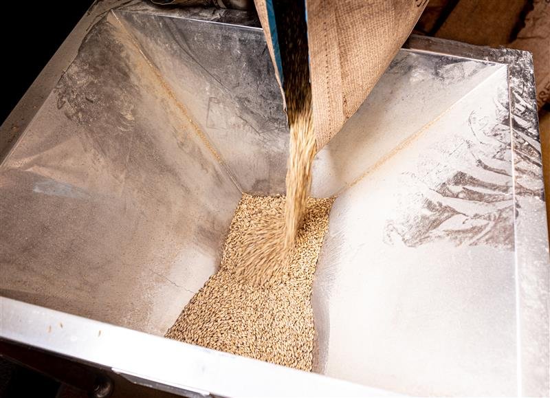technological process grinding malt seeds mill